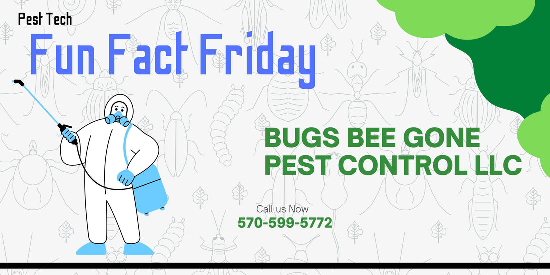 Identifying Common Pest Poo! Todays Fun Fact Friday is "Whats that Scat?"