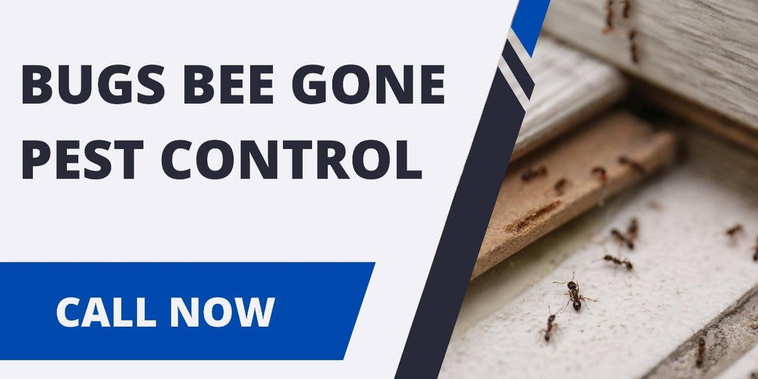 Bugs Bee Gone Pest Control Bugs Bee Gone Pest Control LLC